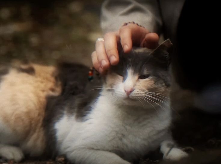 SEBELUM KATA JADI PERISTIWA