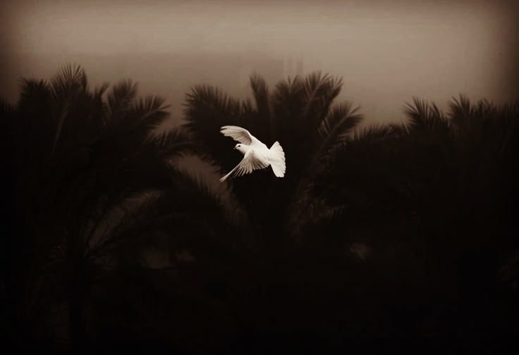 CERITA KITA TAK SAMA