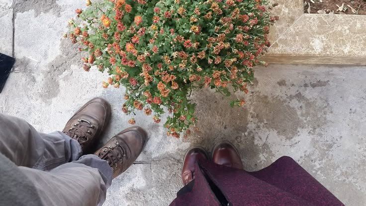 FOKUS PADA SYARATNYA