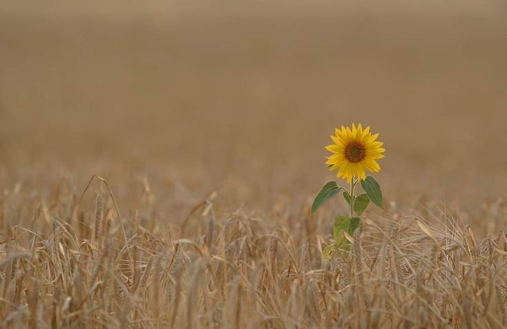 LEBIH INDAH DARI YANG AKU BAYANGKAN