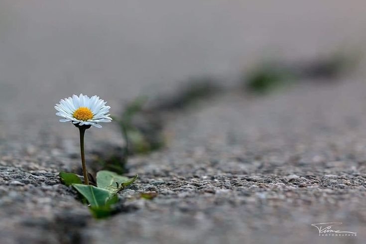 YANG TERBAIK ITU BIASANYA TUMBUH BERSAMA