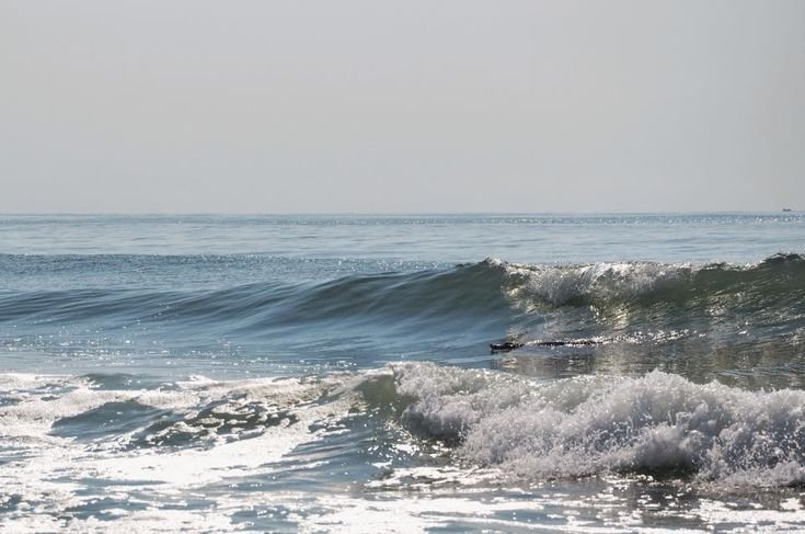 KETIKA DIBERI PRASANGKA