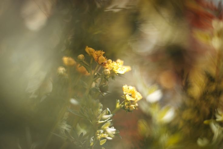 SISI LAIN LELAH YANG MUNGKIN KITA LUPA