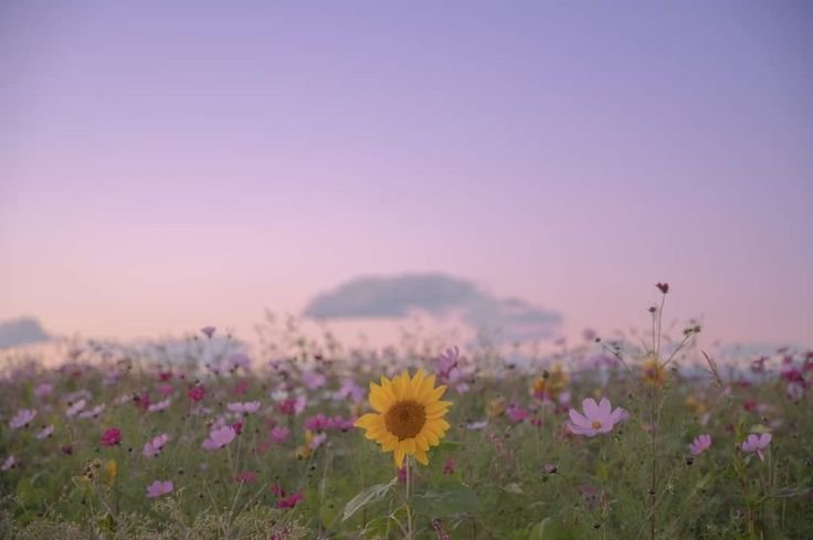 SEMUA SUDAH DITENTUKAN WAKTUNYA
