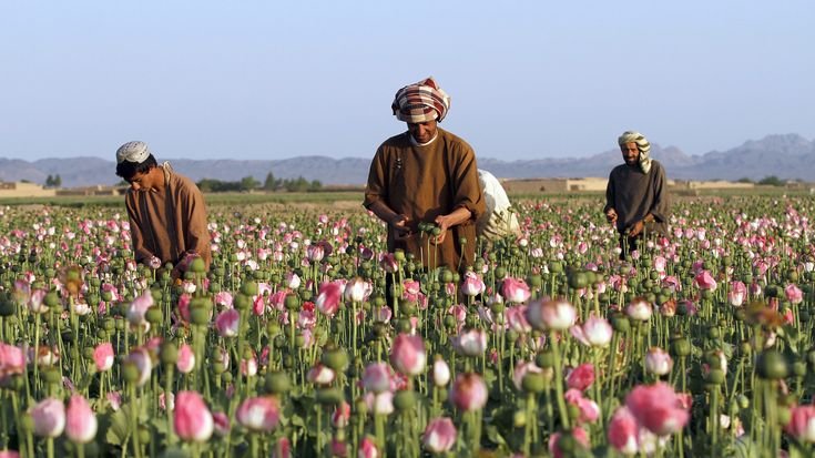 5 BENIHNYA REZEKI DAN KEMUDAHAN