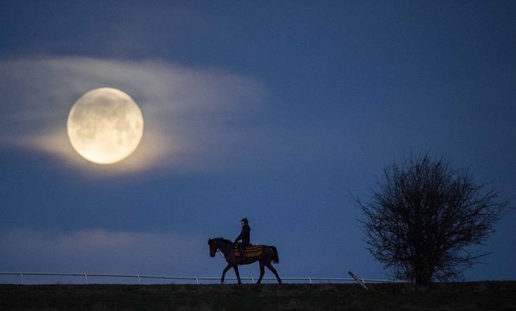 BELAJAR DENGAN KENYATAAN
