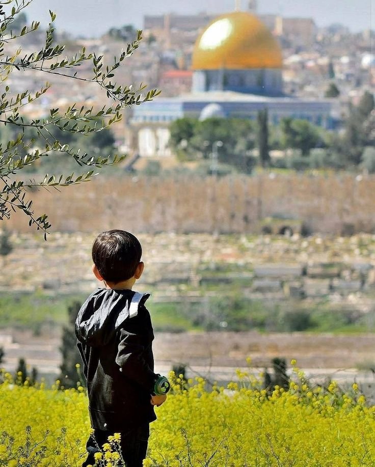 SUDAH SETAHUN BERLALU