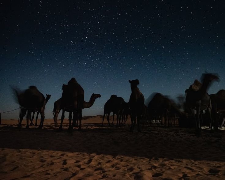 MIKIRIN ANEHNYA REZEKI DARI ALLOH