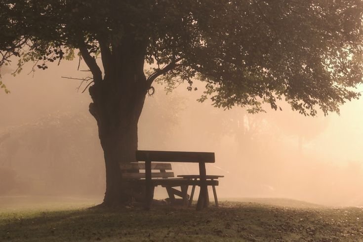 ENTAH SIAPA YANG SALAH.. KU TAK TAHU..