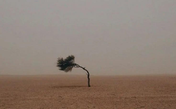 JANGAN SAMPAI MENGGUGAT ALLOH