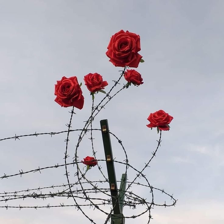 ANTARA ESOK DAN HARI INI