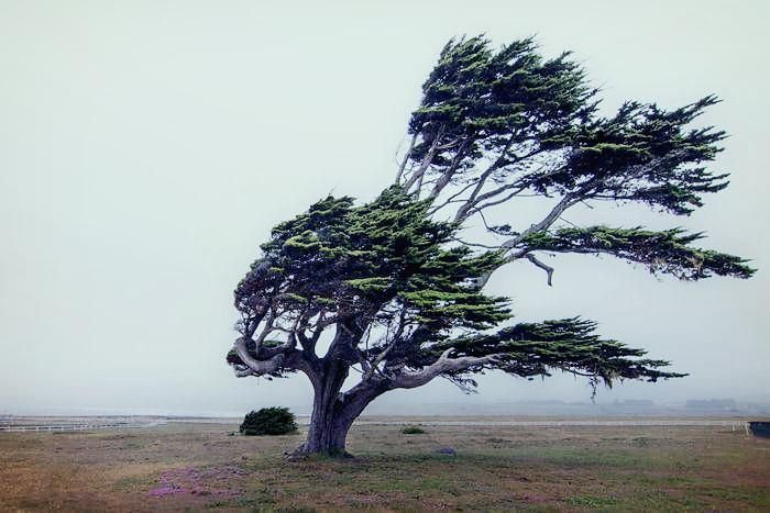 DITAKDIR TAK MUDAH TUMBANG