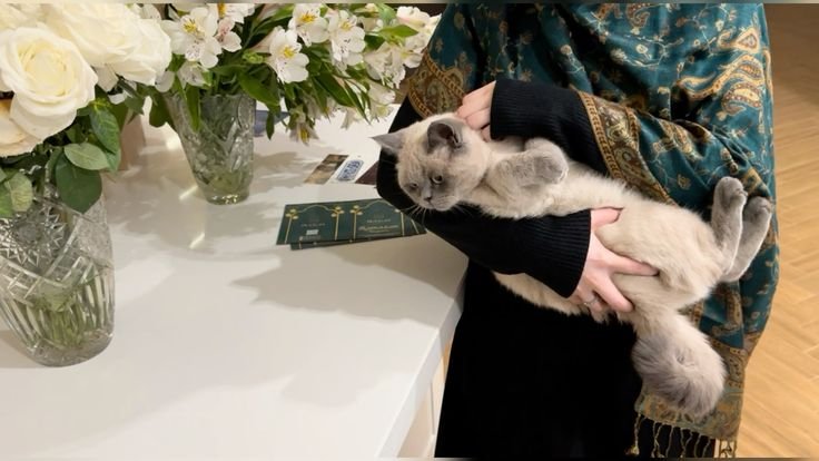 PENGHIBUR HATI SEORANG MUSLIM