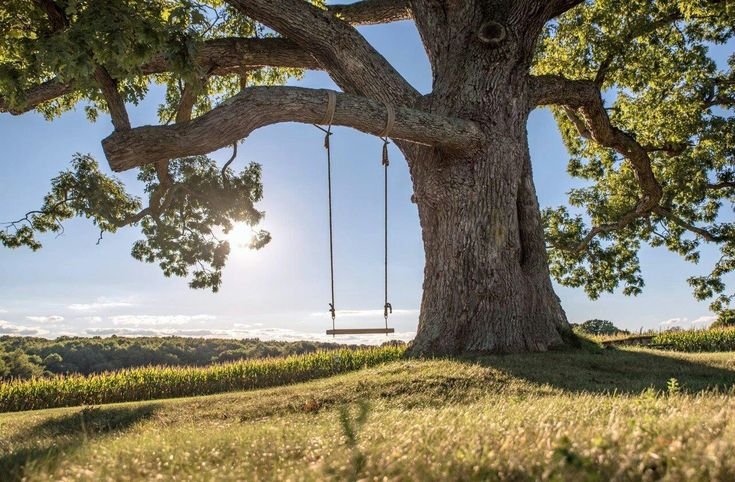 ATURAN TAK TERTULIS YANG BAIK UNTUK HIDUPMU